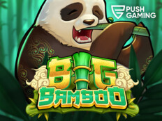 Bingo casino online57